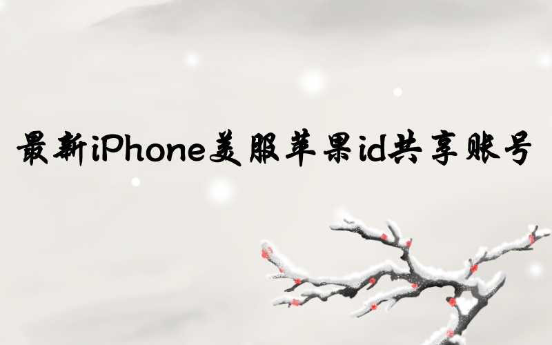 最新iPhone美服苹果id共享账号[圣诞前注册]-多多数字商店
