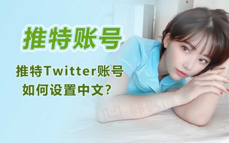 推特Twitter如何设置中文？最新版本详细教程来了-多多数字商店
