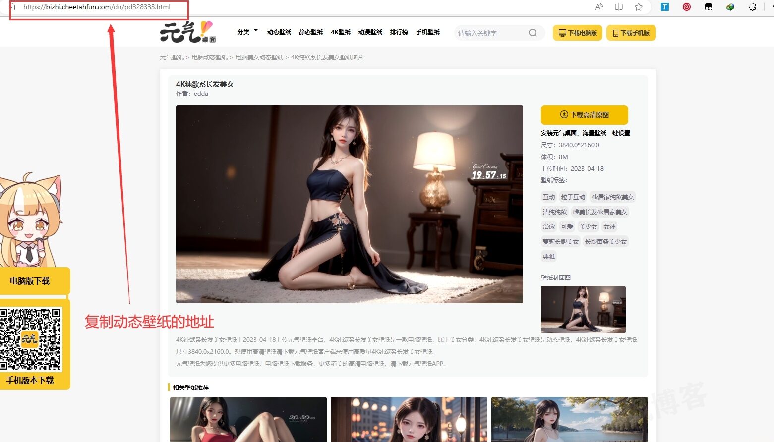 元气动态壁纸在线下载PHP源码-多多数字商店