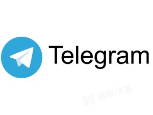 电报纸飞机账号Telegram和GV电话号使用指南，24小时自助批发平台-多多数字商店