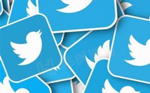 小蓝鸟Twitter推特解敏账号购买-永久独享，老司机必备-多多数字商店