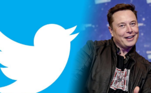 图片[3]-最新的Twitter（推特）账号注册教程来了-庆虎资源网