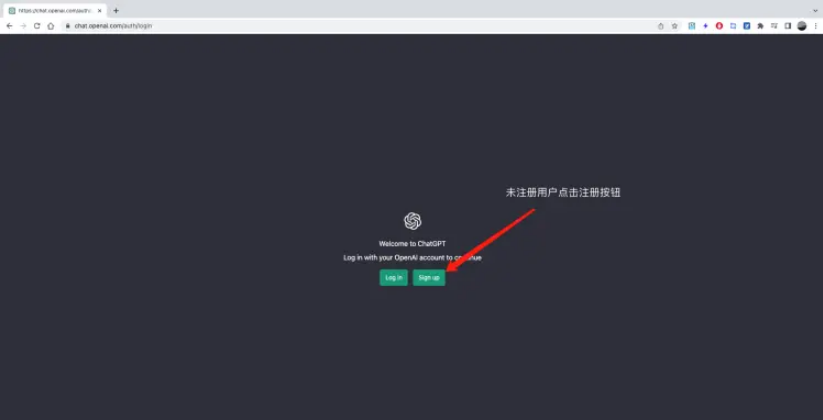 图片[3]-chatgpt账号怎么注册-注册全流程详解-庆虎资源网