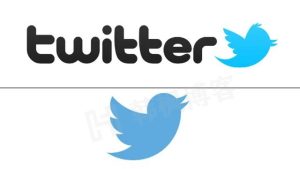 最新的Twitter（推特）账号注册教程来了-多多数字商店