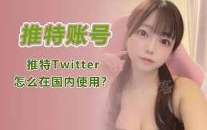 twitter推特怎么解除18限制？-多多数字商店