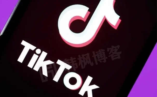 TikTok网页版入口（海外抖音国际版）-多多数字商店