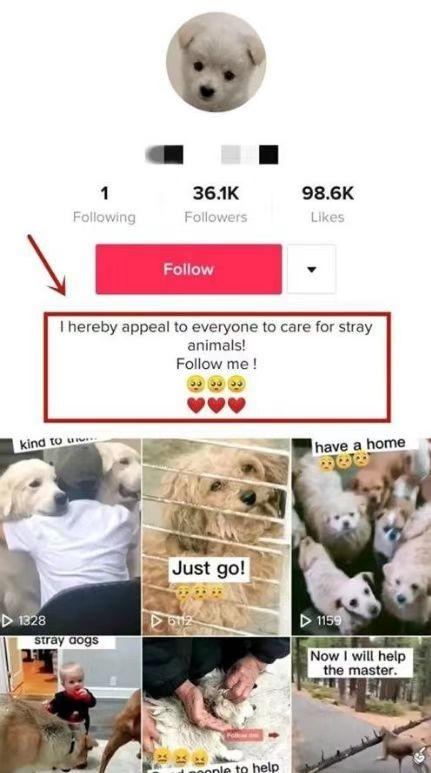 图片[2]-为什么说TikTok电商才是世界电商的未来？-庆虎资源网