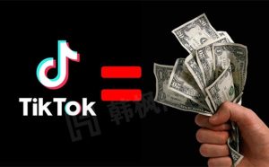 2024tiktok千粉丝账号购买-多多数字商店