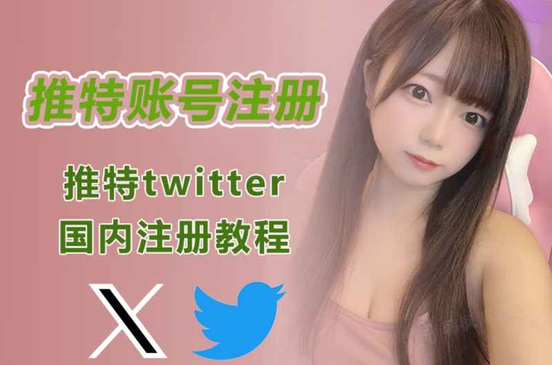 怎么注册小蓝鸟twitter推特账号1元购买平台（一人一号，安全可靠）-多多数字商店