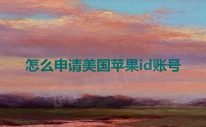 2024注册国外苹果id账号指南-多多数字商店