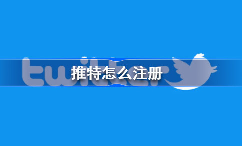 小蓝鸟推特Twitter账号购买平台1元（自动发货，自助下单，附twitter注册教程方法）-EMSHOP发卡官网