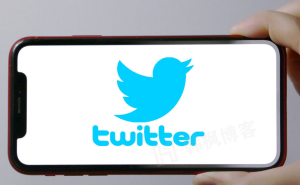 推特Twitter账号购买平台-EMSHOP发卡官网