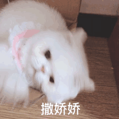 图片[8]-划重点！如何成功注册Gmail ?-庆虎资源网