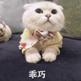 图片[17]-划重点！如何成功注册Gmail ?-庆虎资源网