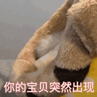 图片[15]-划重点！如何成功注册Gmail ?-庆虎资源网