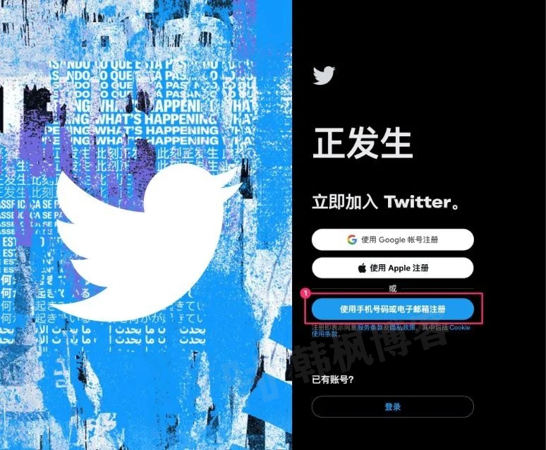 图片[3]-有效免费推特（Twitter）账号密码大全（亲测可用，快速登录，仅需三分钟）-庆虎资源网