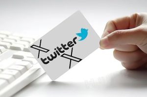 图片[4]-推特twitter小蓝鸟如何在国内使用？-庆虎资源网